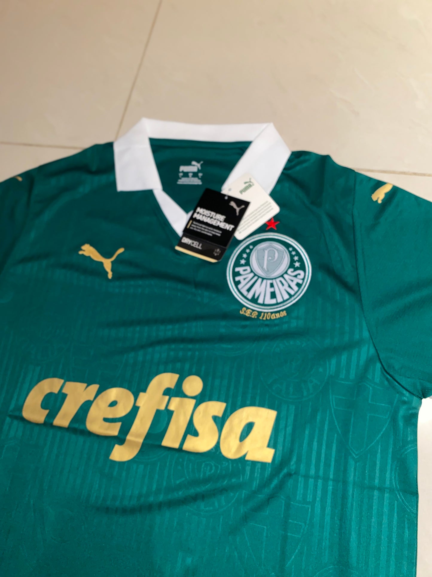 Palmeiras Jersey